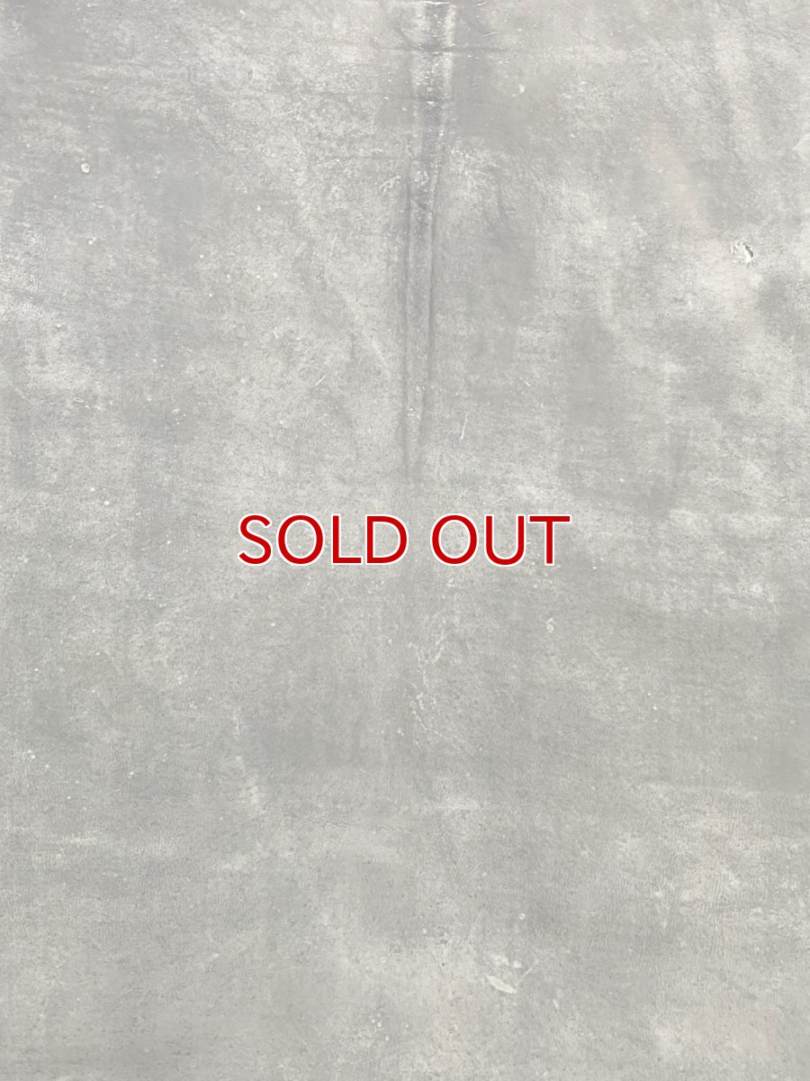 画像2: クードゥー　グレー　クーズー　KUDU (2)