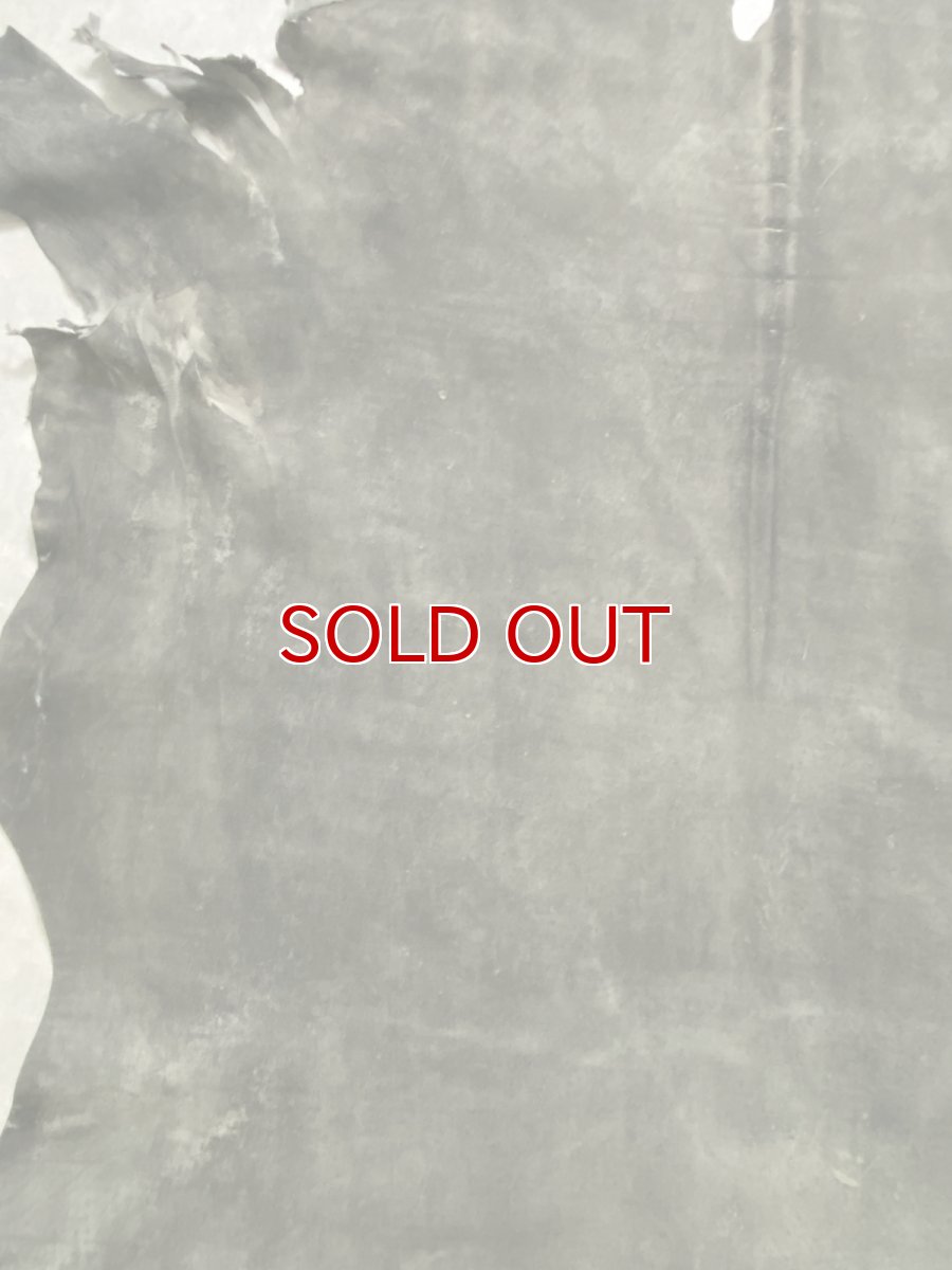 画像4: クードゥー　グレー　クーズー　KUDU (4)