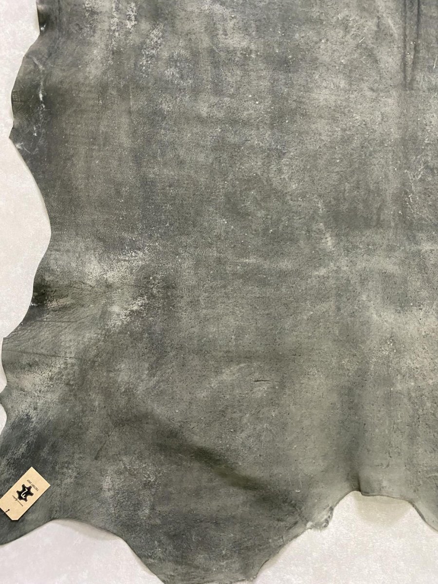 画像6: クードゥー　グレー　クーズー　KUDU (6)