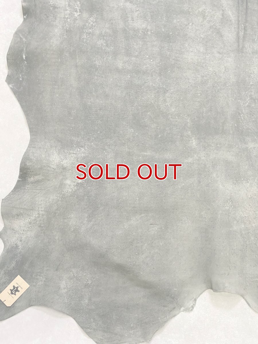 画像6: クードゥー　グレー　クーズー　KUDU (6)