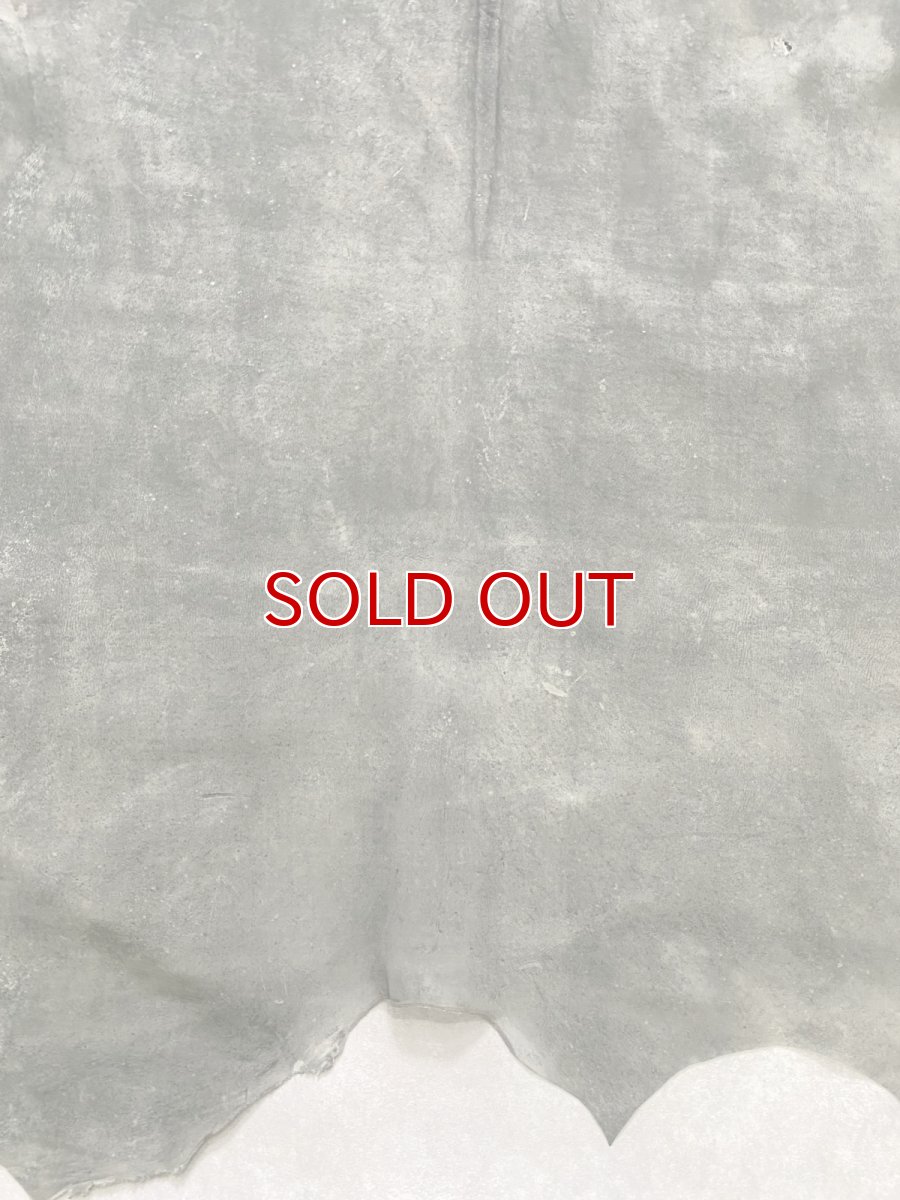 画像7: クードゥー　グレー　クーズー　KUDU (7)