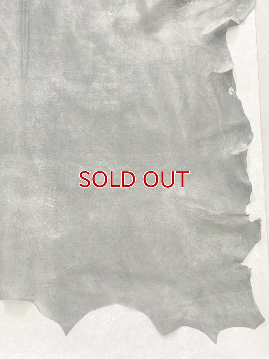 画像8: クードゥー　グレー　クーズー　KUDU (8)