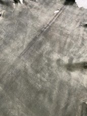画像9: クードゥー　グレー　クーズー　KUDU (9)