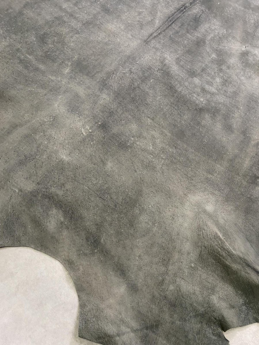 画像10: クードゥー　グレー　クーズー　KUDU (10)