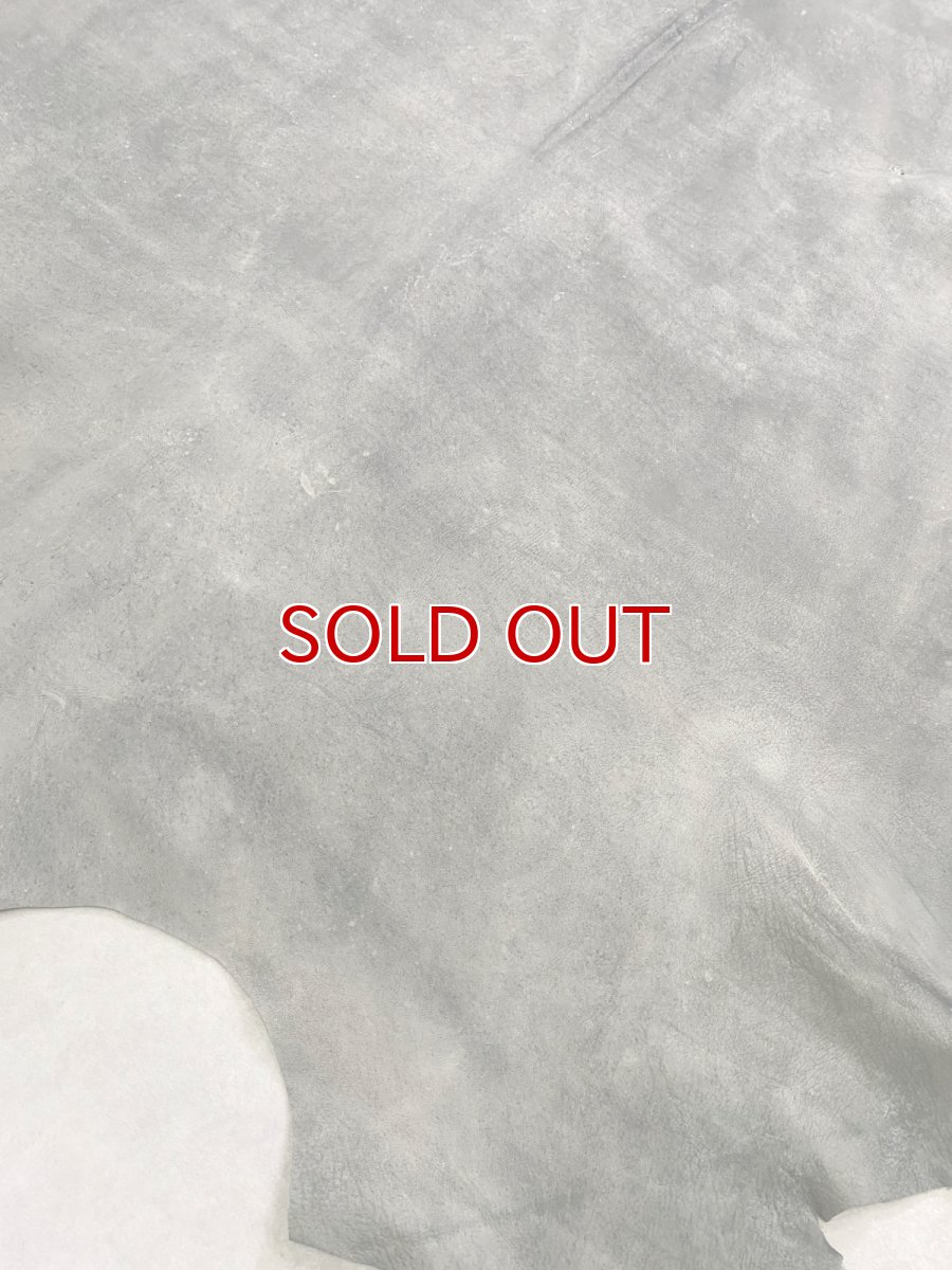 画像10: クードゥー　グレー　クーズー　KUDU (10)