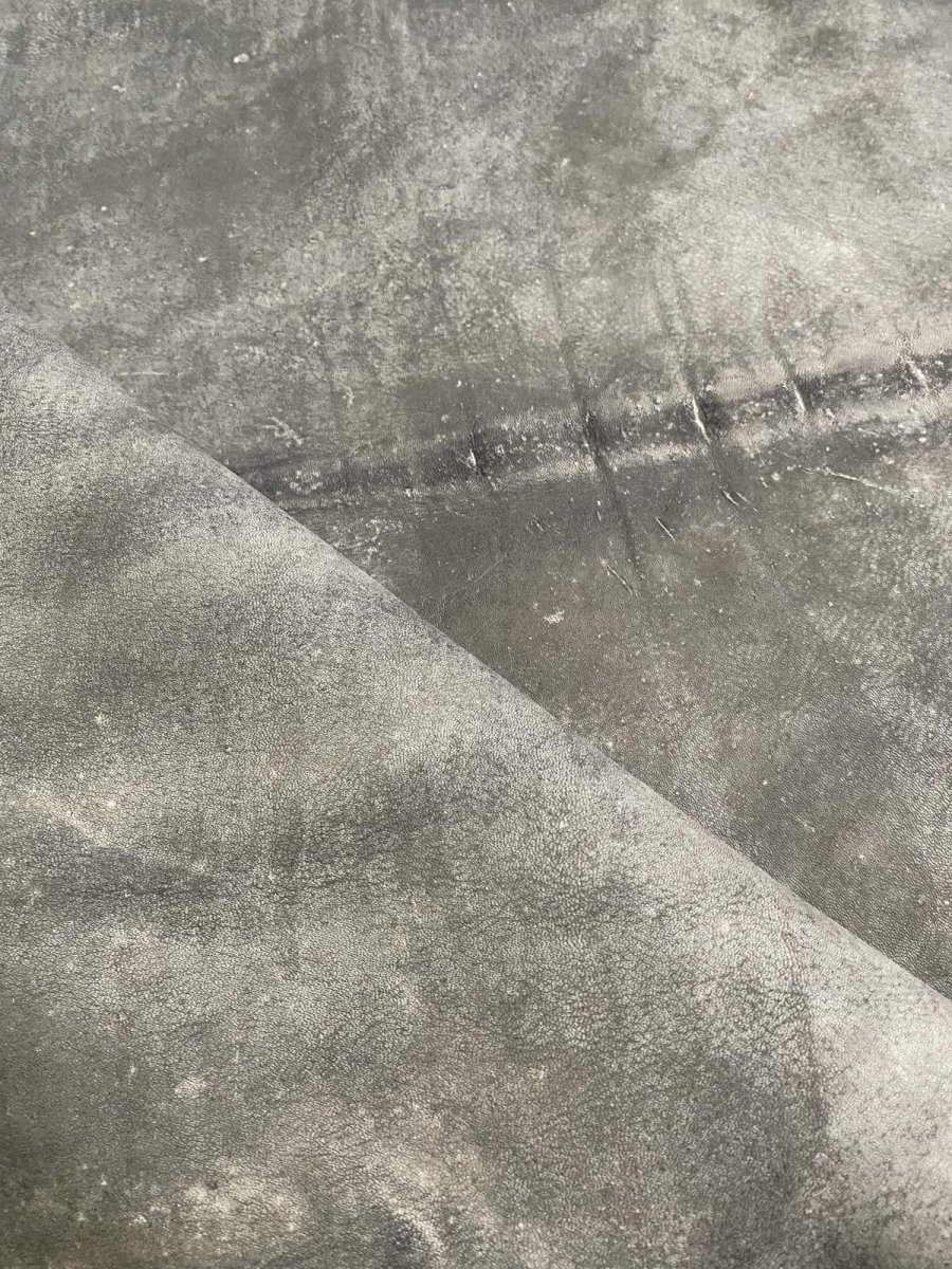 画像11: クードゥー　グレー　クーズー　KUDU (11)