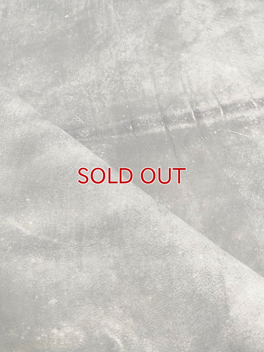 画像11: クードゥー　グレー　クーズー　KUDU (11)