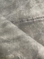 画像11: クードゥー　グレー　クーズー　KUDU (11)