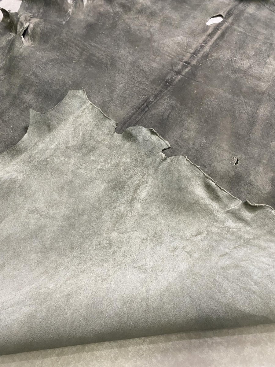 画像12: クードゥー　グレー　クーズー　KUDU (12)