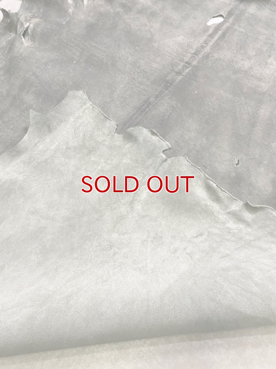 画像12: クードゥー　グレー　クーズー　KUDU (12)