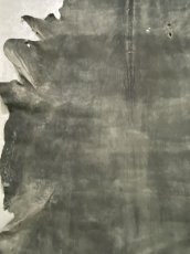 画像4: クードゥー　グレー　クーズー　KUDU (4)