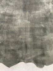 画像7: クードゥー　グレー　クーズー　KUDU (7)