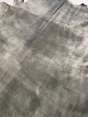 画像9: クードゥー　グレー　クーズー　KUDU (9)