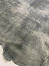 画像10: クードゥー　グレー　クーズー　KUDU (10)