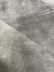 画像11: クードゥー　グレー　クーズー　KUDU (11)