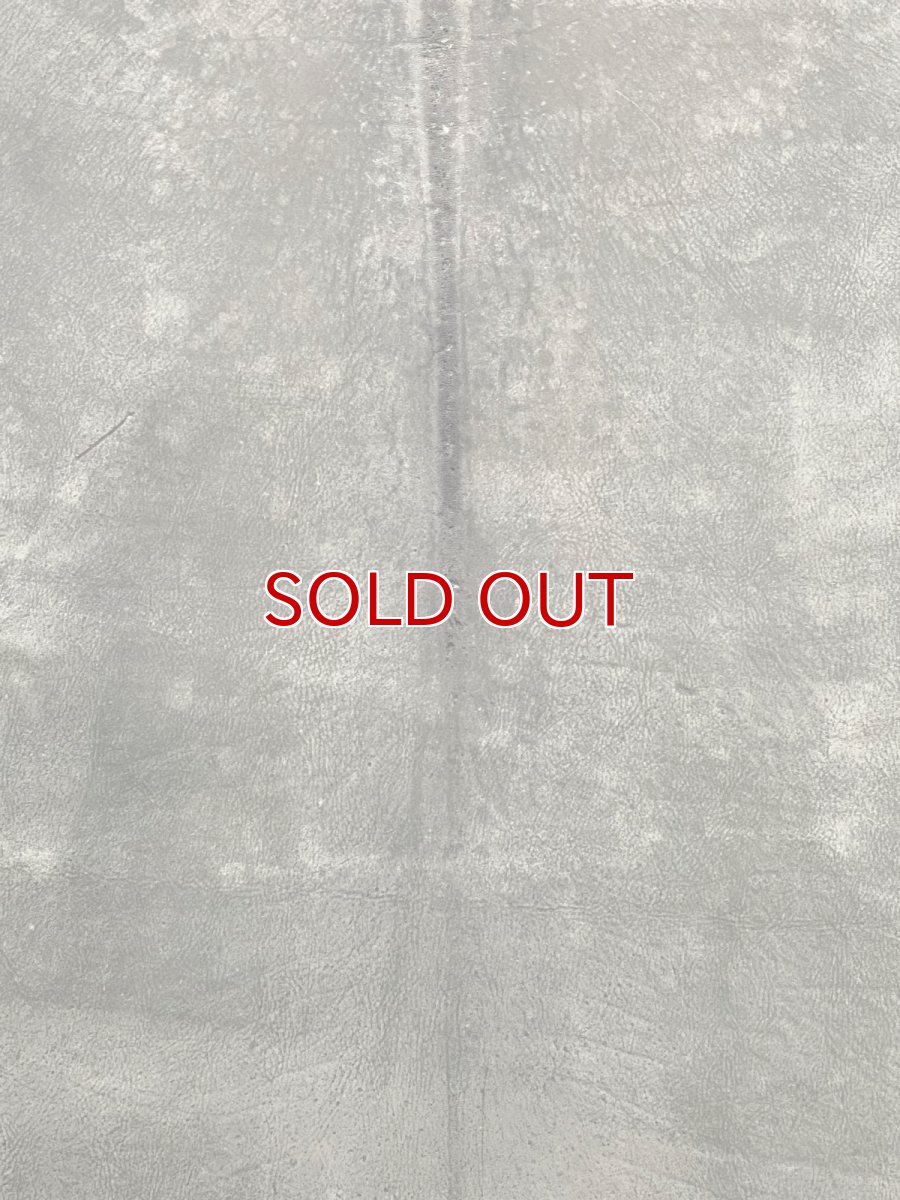 画像2: クードゥー　グレー　クーズー　KUDU (2)