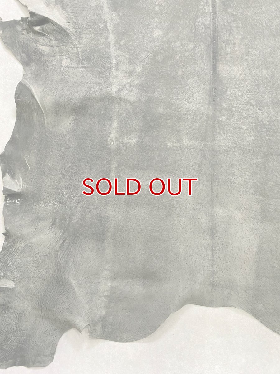 画像6: クードゥー　グレー　クーズー　KUDU (6)