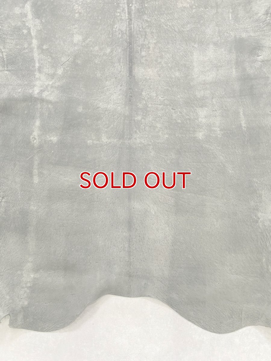 画像7: クードゥー　グレー　クーズー　KUDU (7)