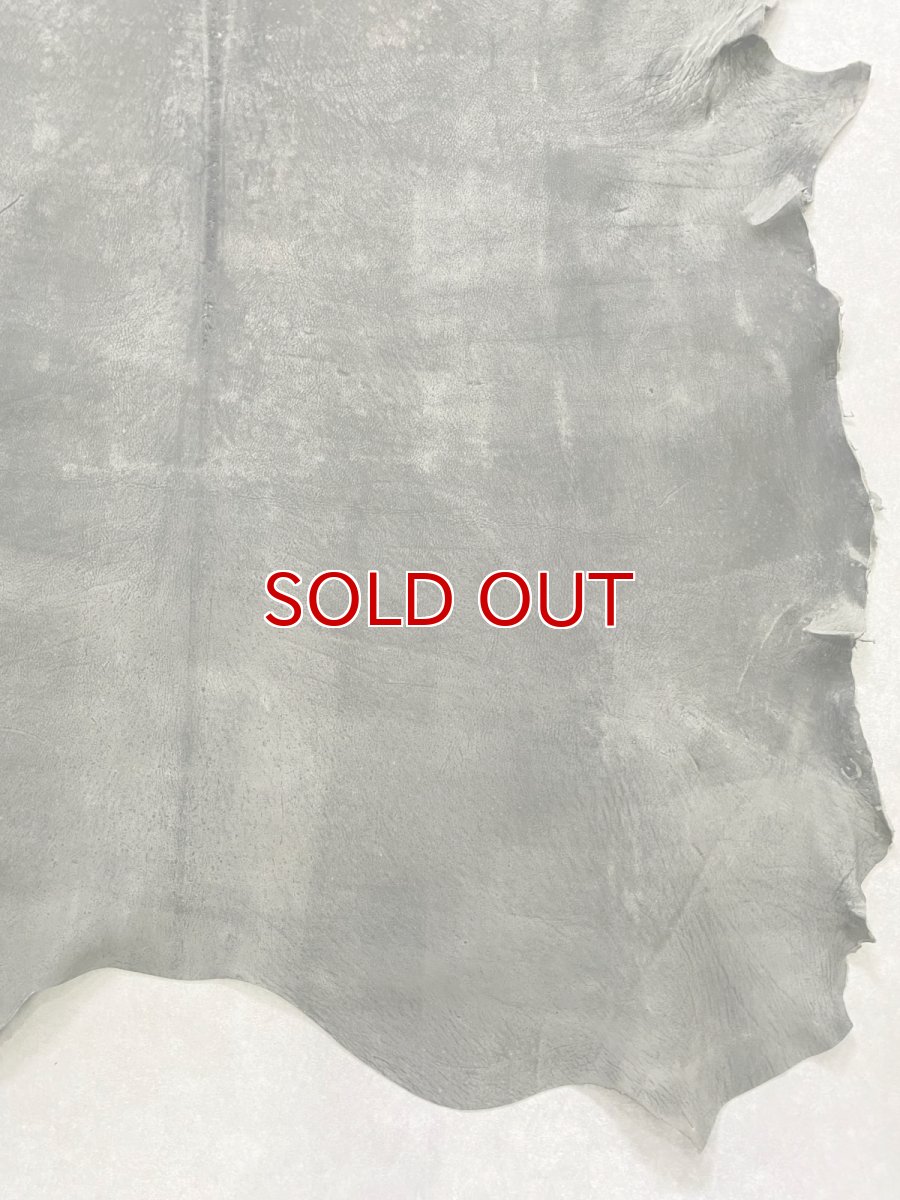 画像8: クードゥー　グレー　クーズー　KUDU (8)