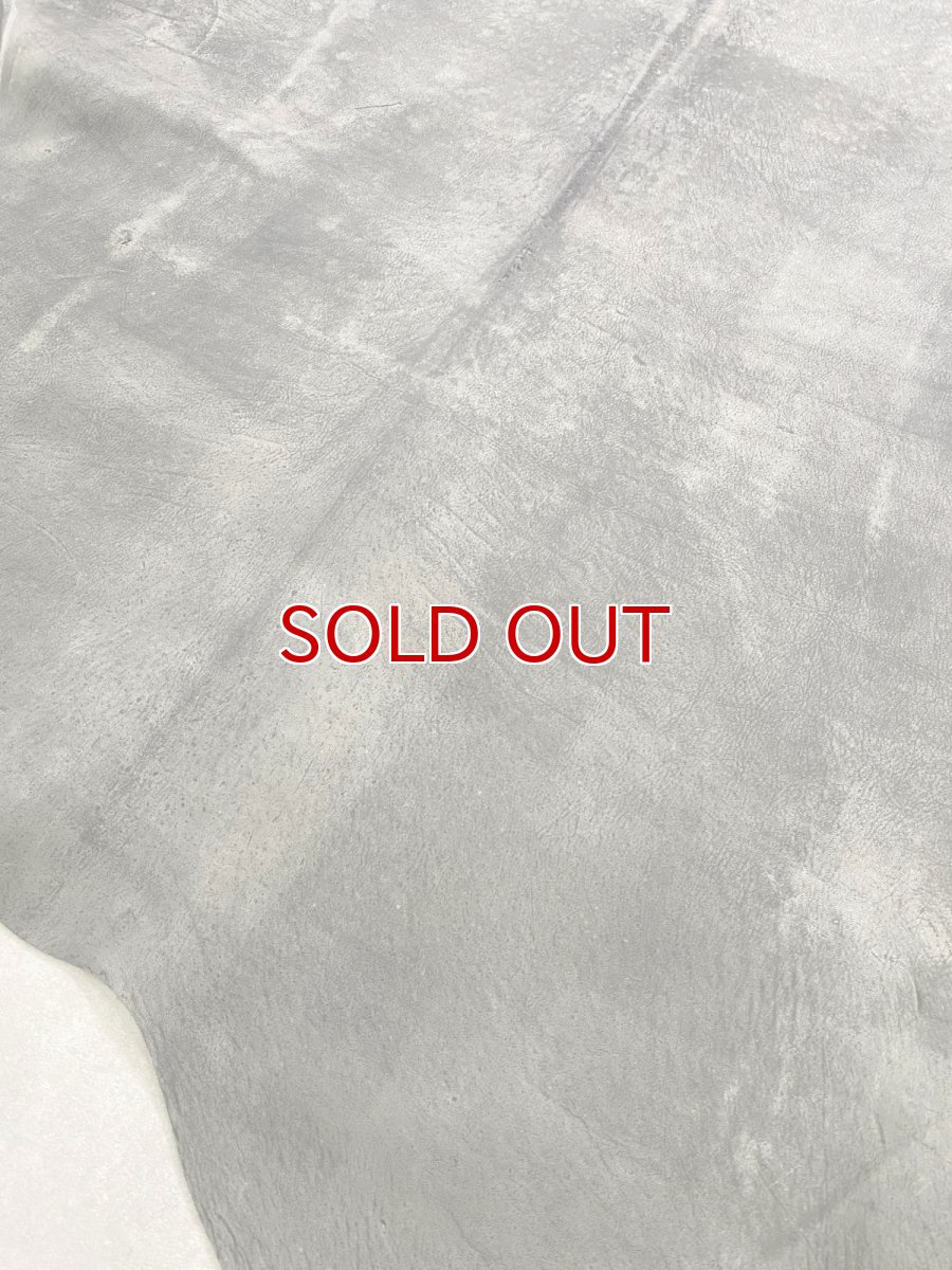 画像10: クードゥー　グレー　クーズー　KUDU (10)