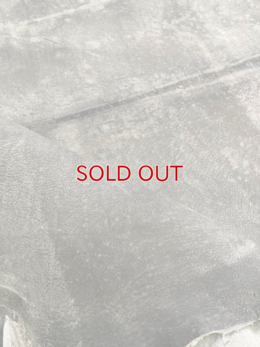 画像11: クードゥー　グレー　クーズー　KUDU (11)