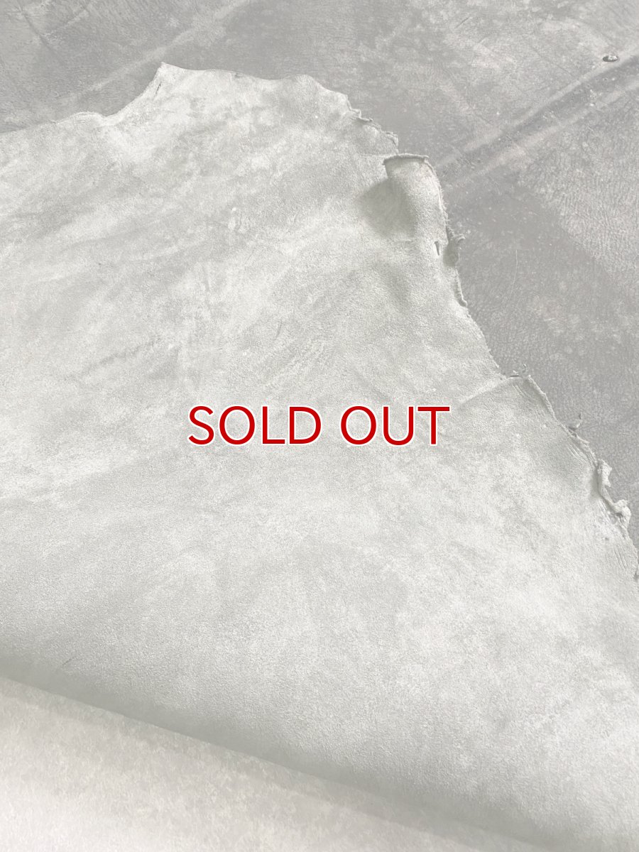 画像12: クードゥー　グレー　クーズー　KUDU (12)