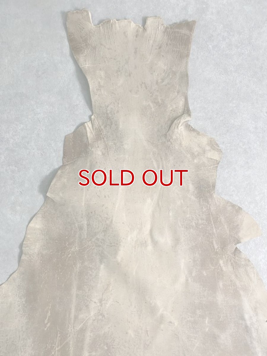 画像3: クードゥー　ベージュ　クーズー　KUDU (3)