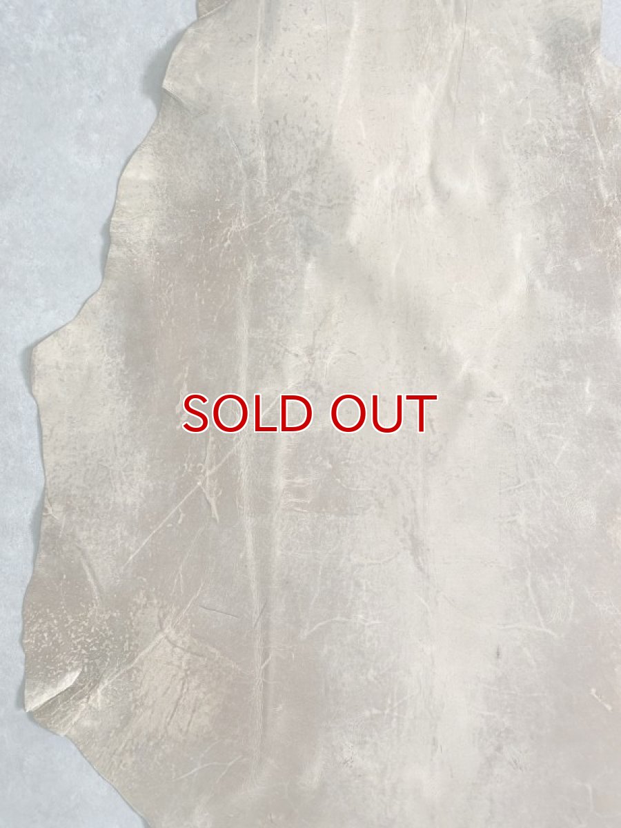 画像4: クードゥー　ベージュ　クーズー　KUDU (4)