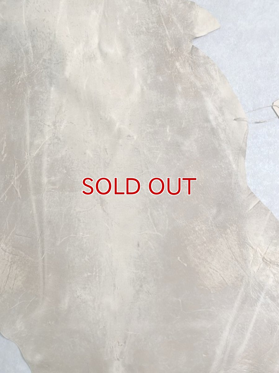 画像5: クードゥー　ベージュ　クーズー　KUDU (5)