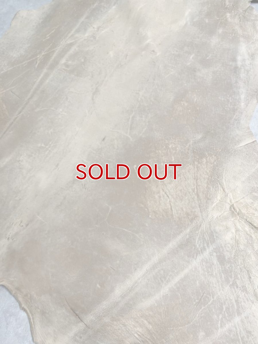 画像7: クードゥー　ベージュ　クーズー　KUDU (7)