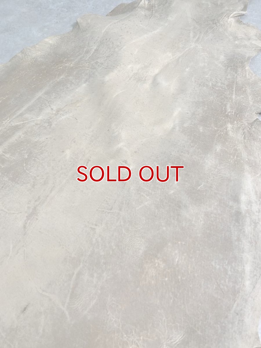 画像8: クードゥー　ベージュ　クーズー　KUDU (8)