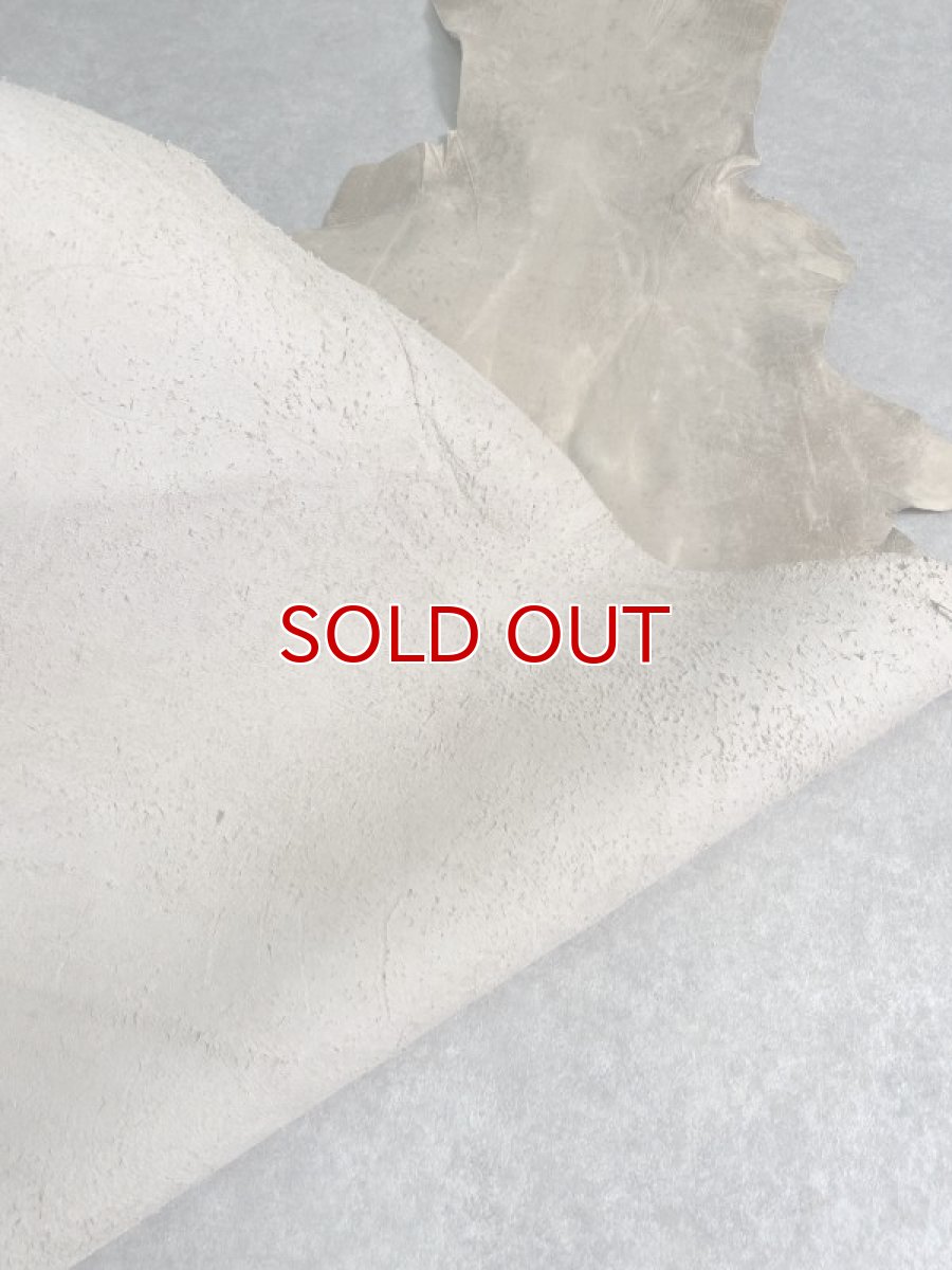 画像9: クードゥー　ベージュ　クーズー　KUDU (9)