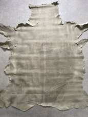 画像1: クードゥー　アイスグレー　クーズー　KUDU (1)