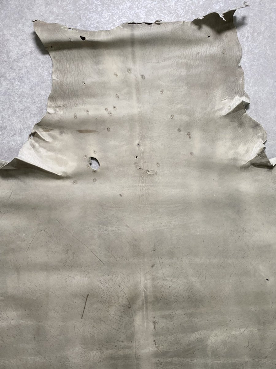 画像3: クードゥー　アイスグレー　クーズー　KUDU (3)