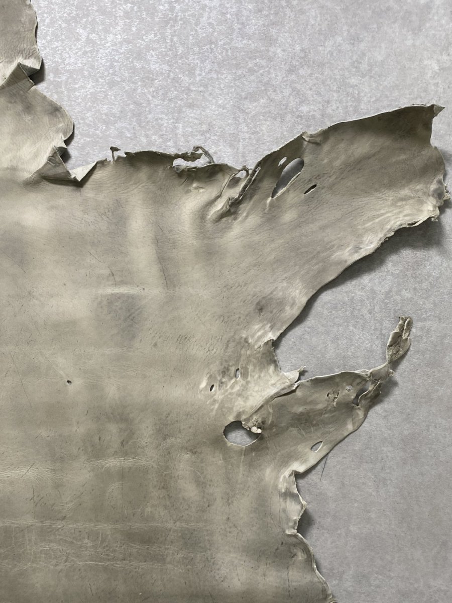 画像4: クードゥー　アイスグレー　クーズー　KUDU (4)