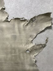 画像4: クードゥー　アイスグレー　クーズー　KUDU (4)