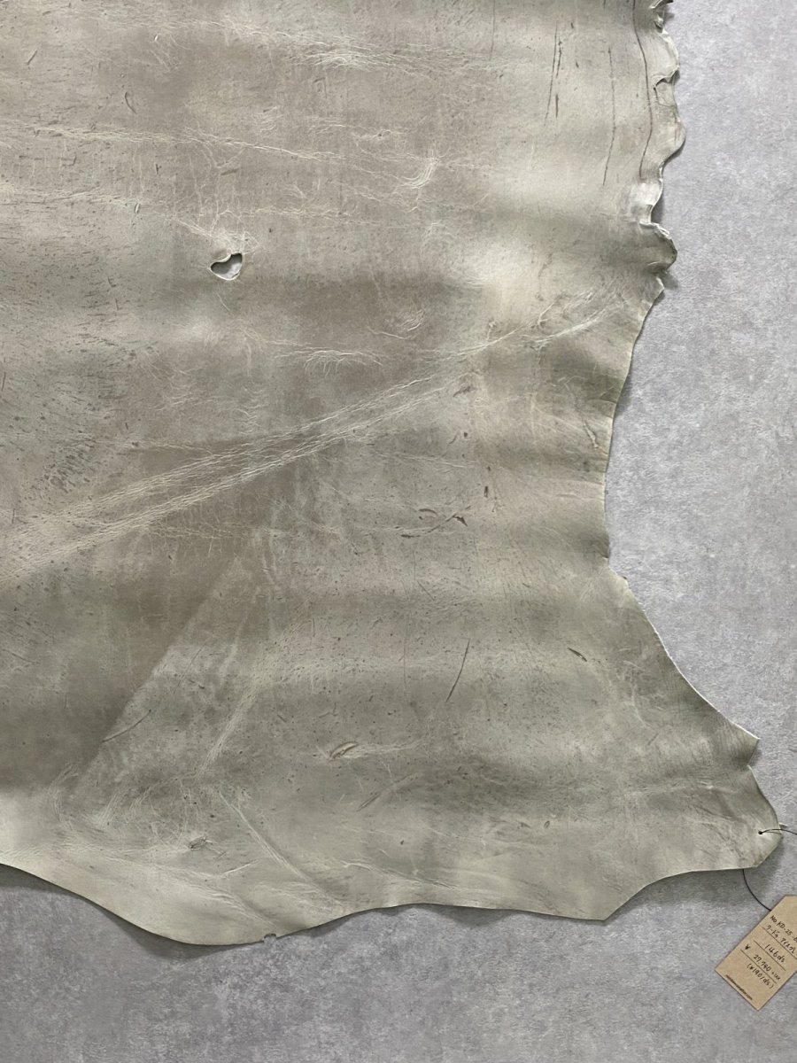 画像6: クードゥー　アイスグレー　クーズー　KUDU (6)