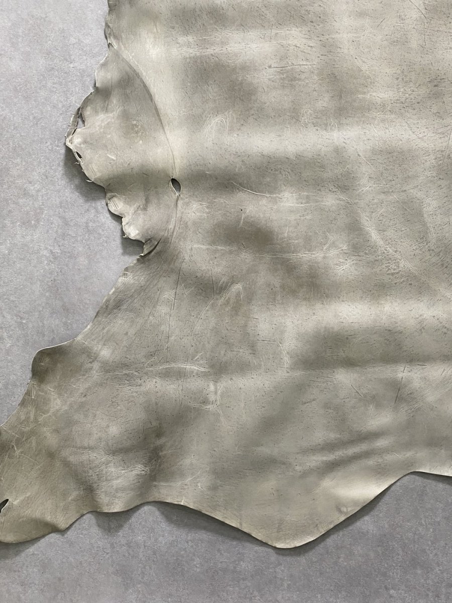 画像5: クードゥー　アイスグレー　クーズー　KUDU (5)