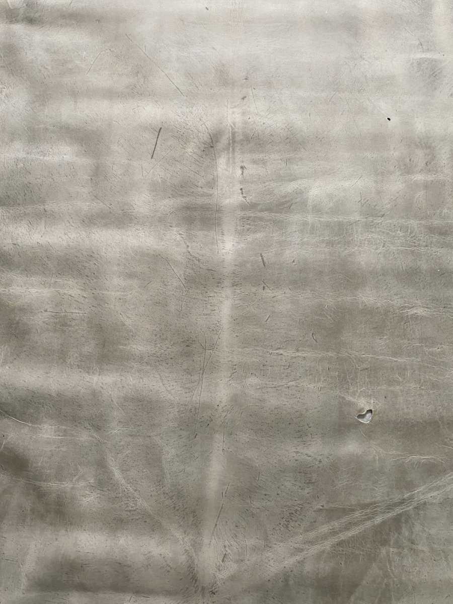 画像7: クードゥー　アイスグレー　クーズー　KUDU (7)