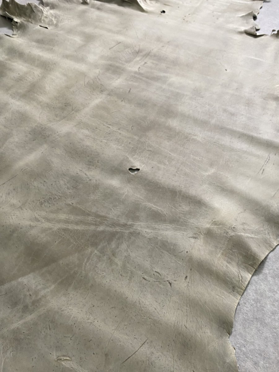 画像8: クードゥー　アイスグレー　クーズー　KUDU (8)