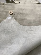 画像10: クードゥー　アイスグレー　クーズー　KUDU (10)