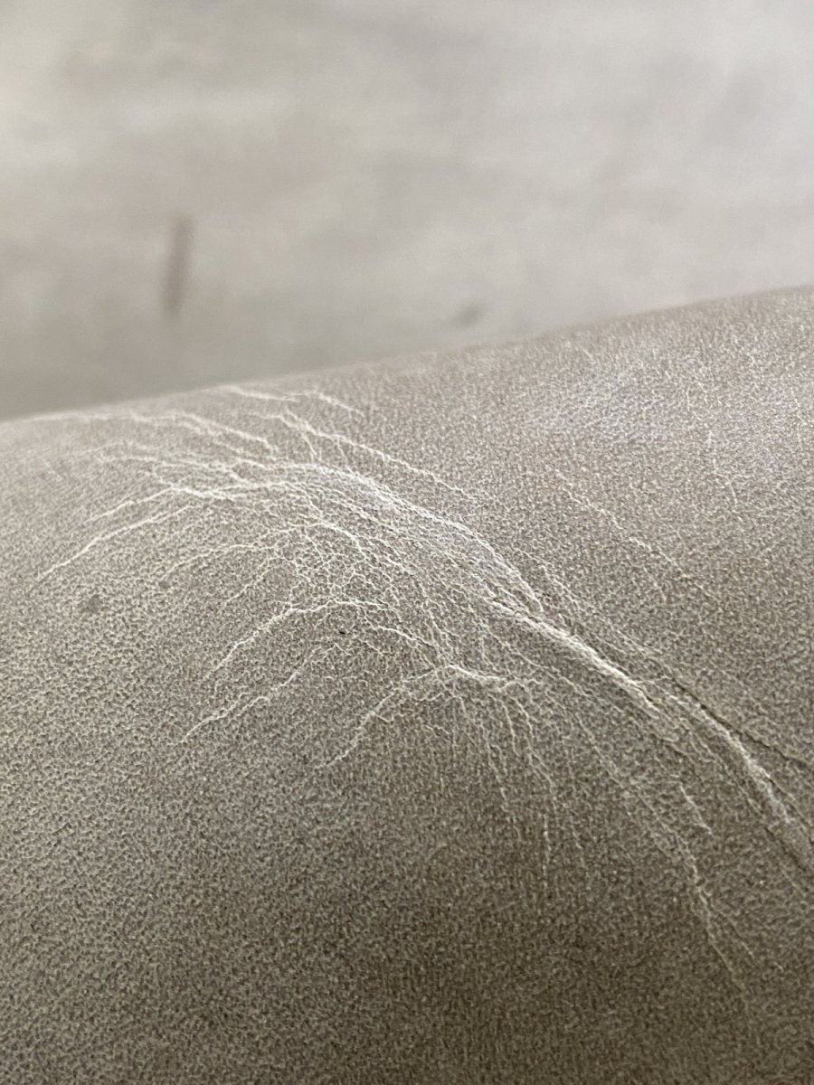 画像9: クードゥー　アイスグレー　クーズー　KUDU (9)