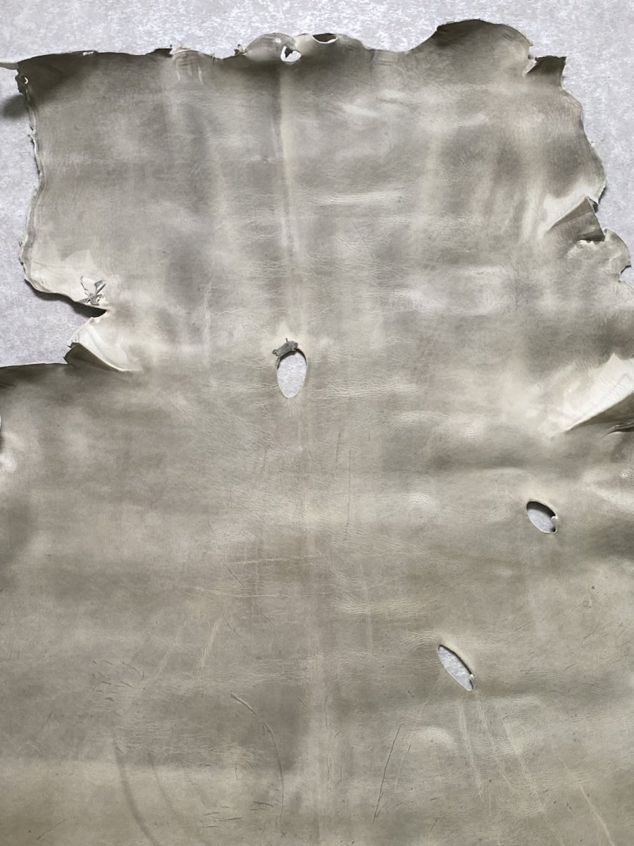 画像3: クードゥー　アイスグレー　クーズー　KUDU (3)