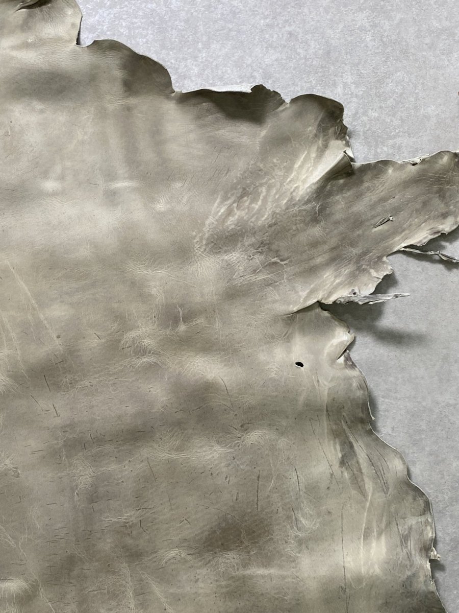 画像4: クードゥー　アイスグレー　クーズー　KUDU (4)