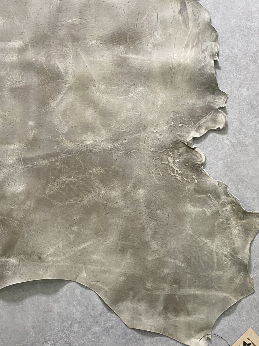 画像6: クードゥー　アイスグレー　クーズー　KUDU (6)