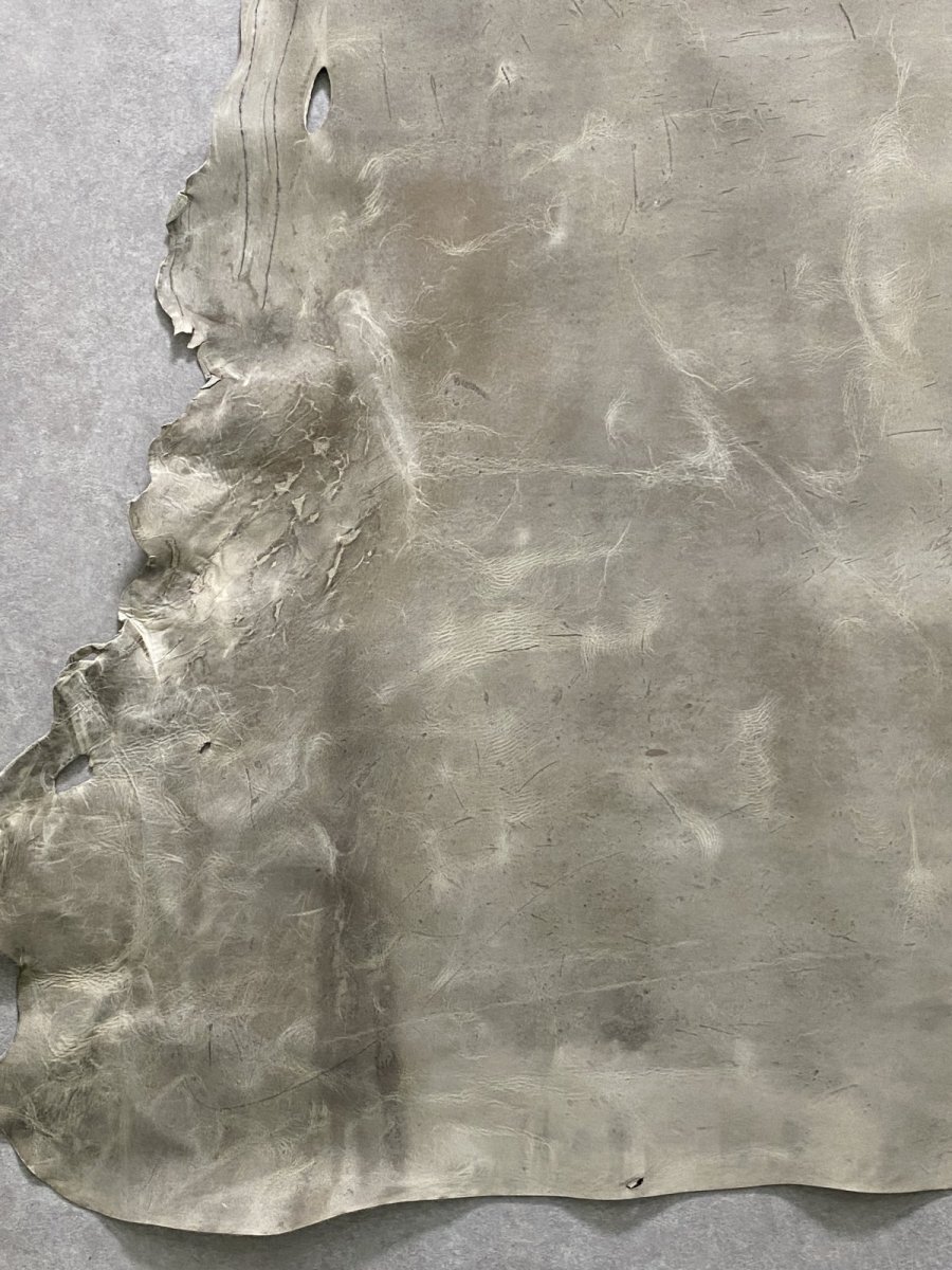 画像5: クードゥー　アイスグレー　クーズー　KUDU (5)