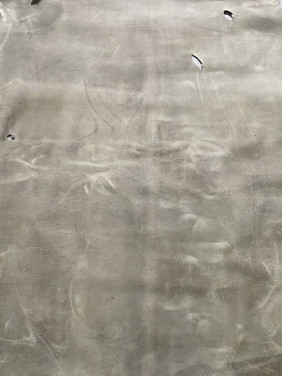 画像7: クードゥー　アイスグレー　クーズー　KUDU (7)