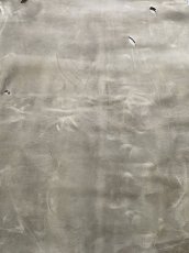 画像7: クードゥー　アイスグレー　クーズー　KUDU (7)