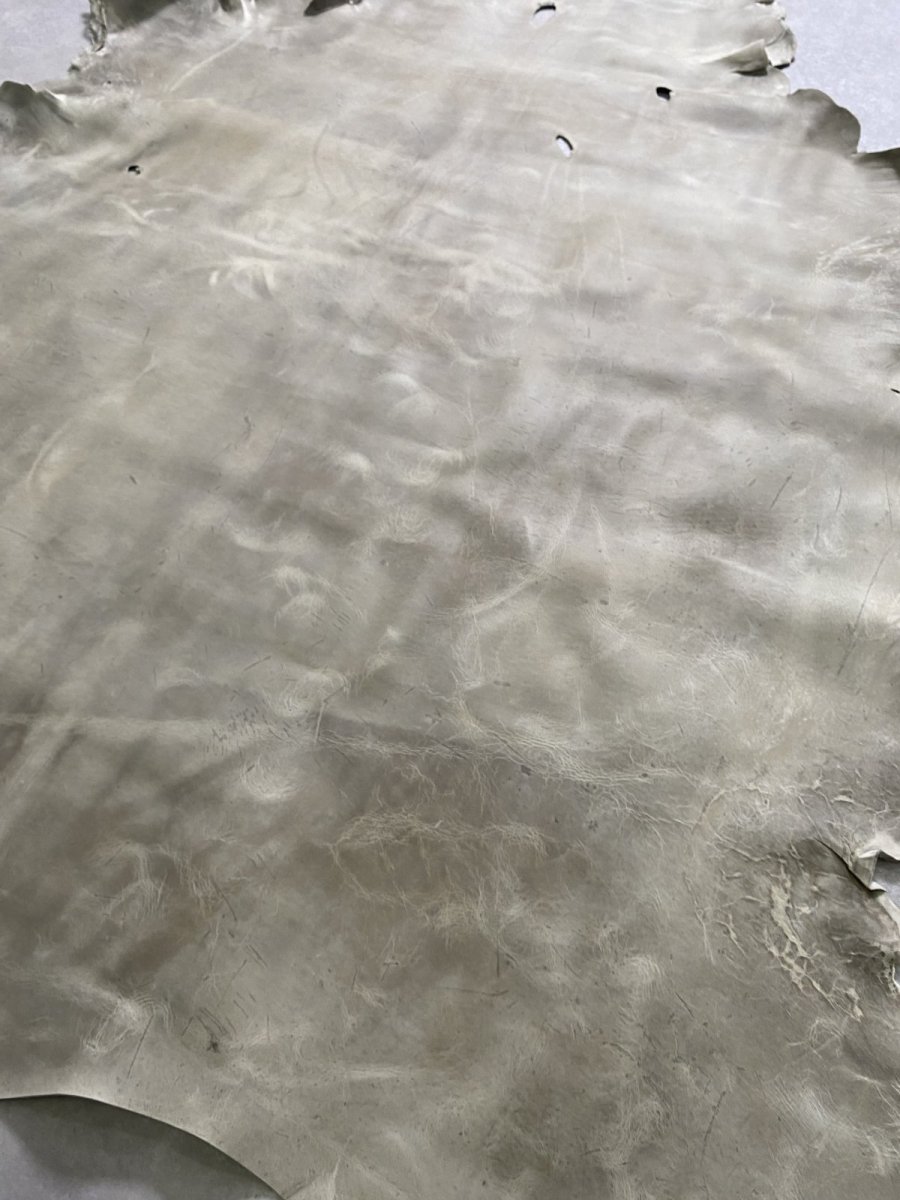 画像8: クードゥー　アイスグレー　クーズー　KUDU (8)