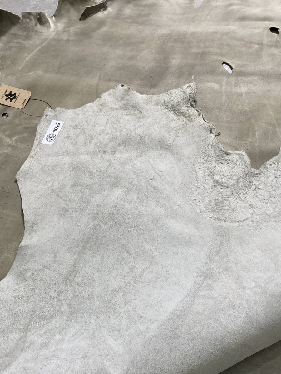 画像9: クードゥー　アイスグレー　クーズー　KUDU (9)